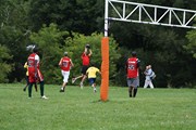 OTFL Gallery Image